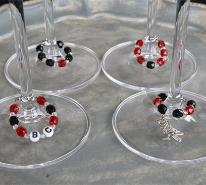 Stem Gems™ Sports, BC Ravens