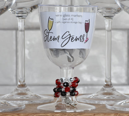 Stem Gems™ Sports, BC Ravens