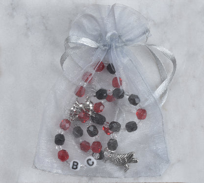 Stem Gems™ Sports, BC Ravens