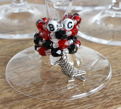 Stem Gems™ Sports, BC Ravens